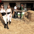 Christy Marks in 'Four-way fuckers at the Busty Riding Academy'