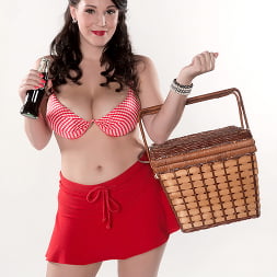 Bikini Picnic