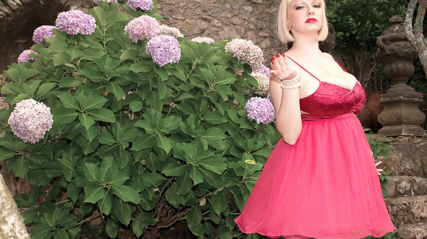 Gorgeous in the garden